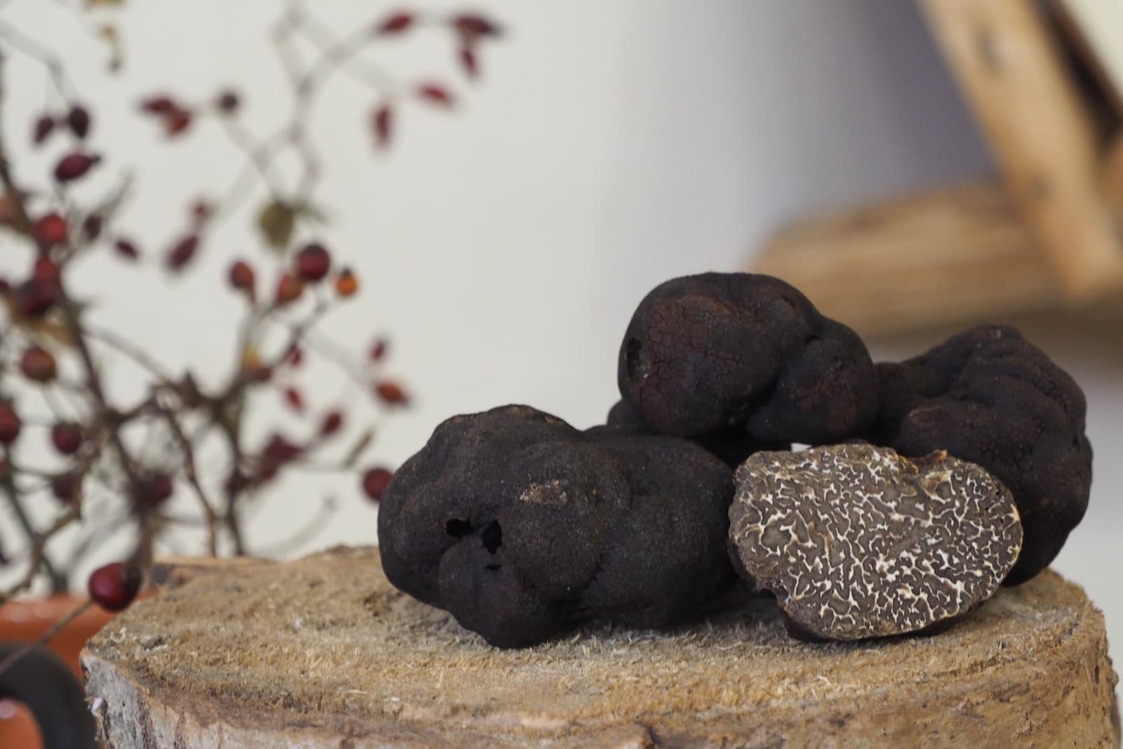 Hľuzovková farma na Slovensku