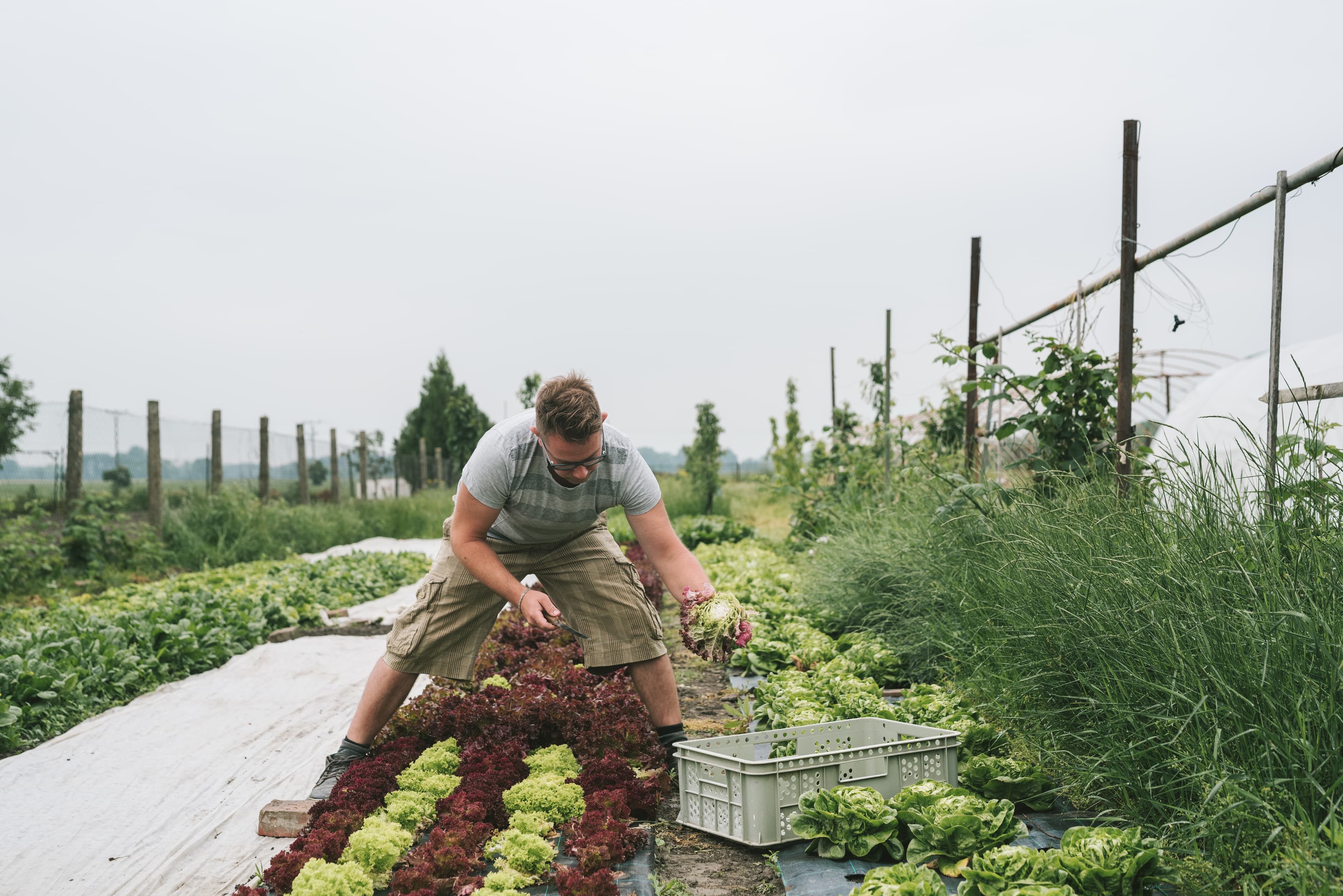 Heslo dnešných dní: Pomaly a kvalitne