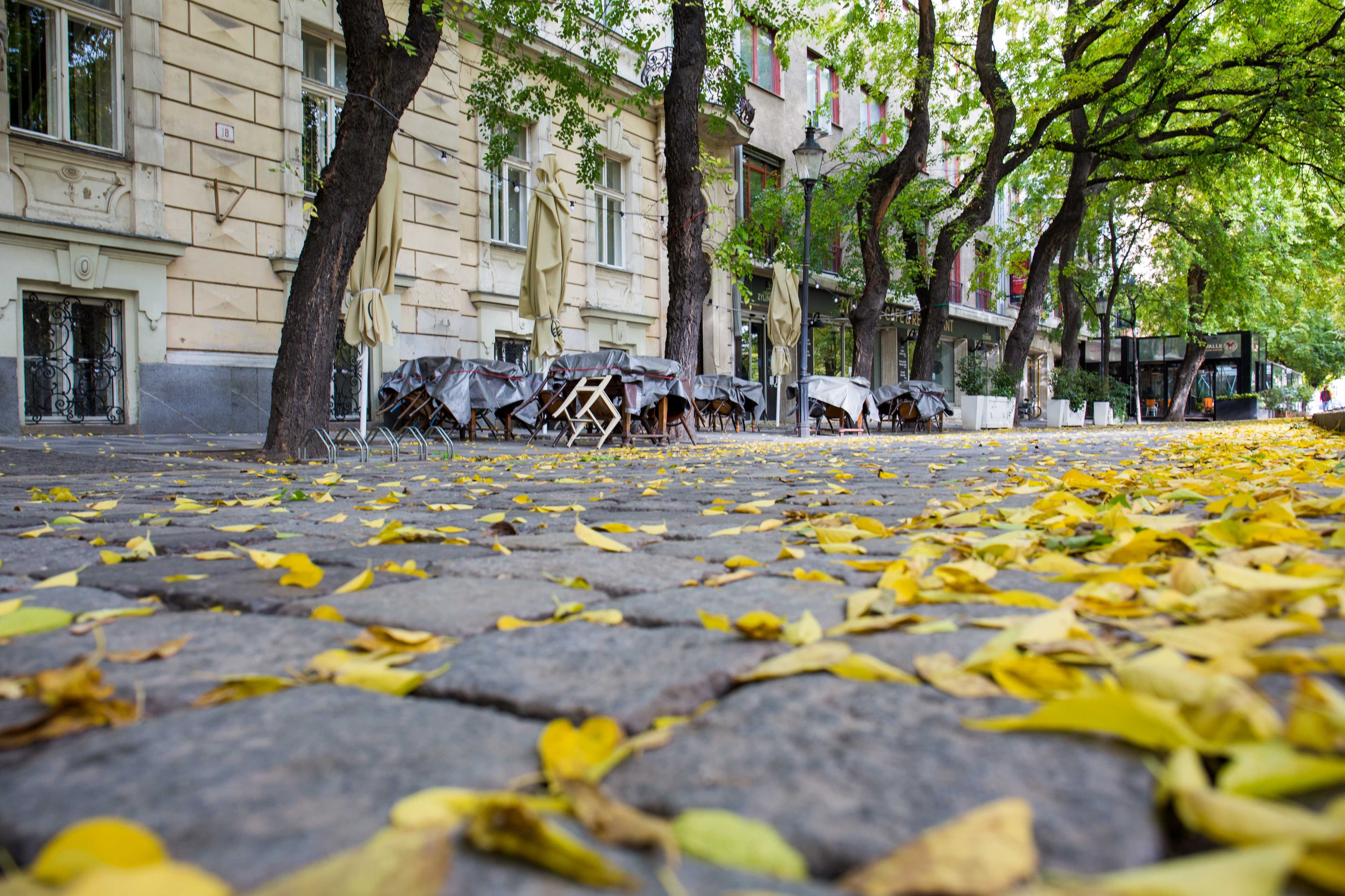 Stále sme tu. Pre vás, odkazujú gastronómovia
