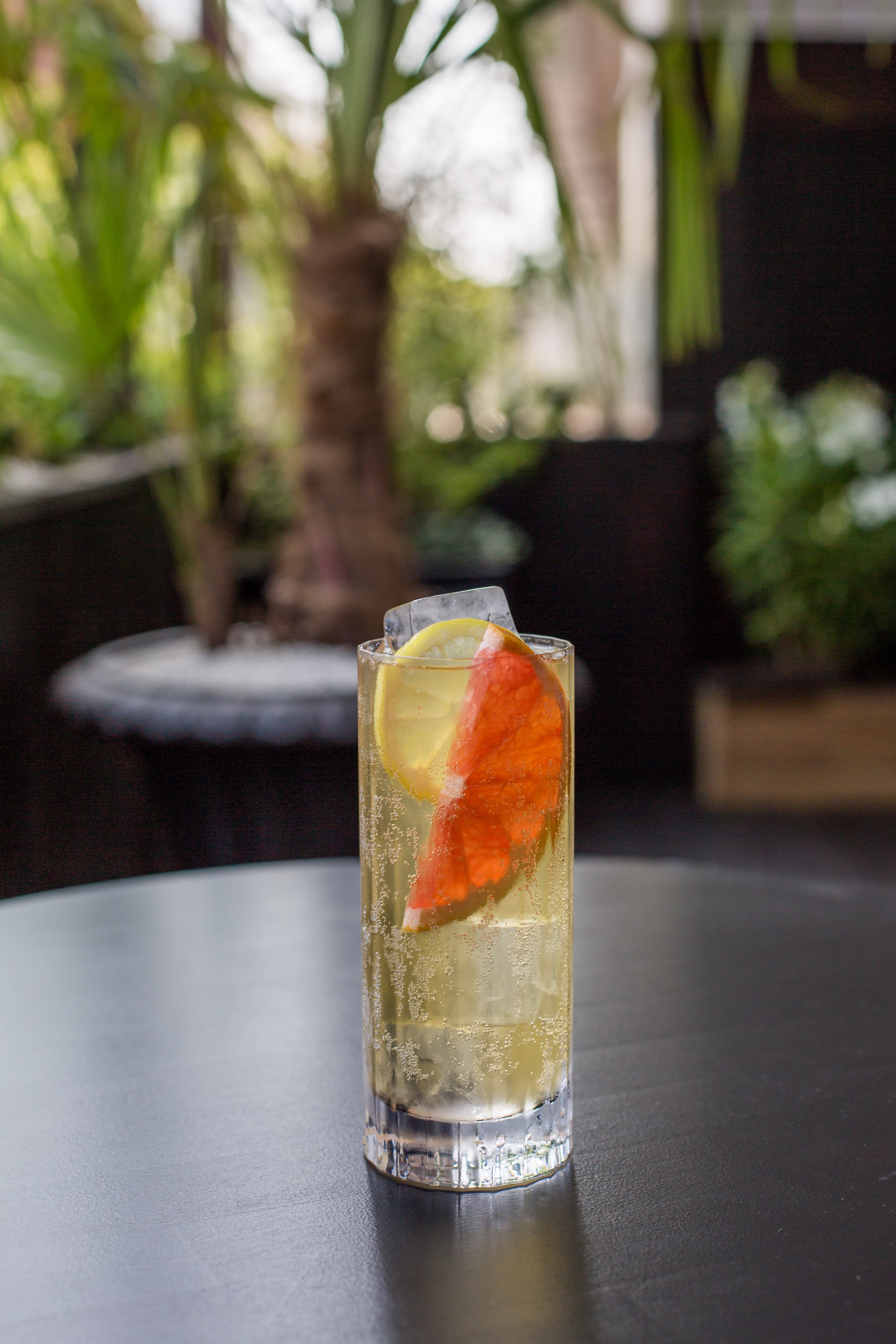 Letná limonáda z čaju Mistral Grand Selection