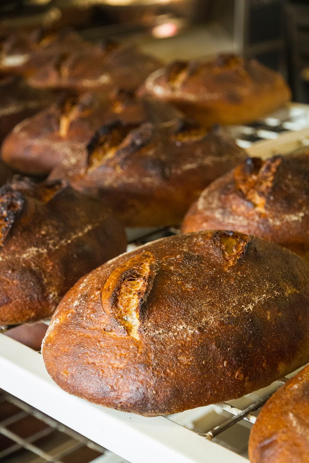 Chlieb náš každodenný