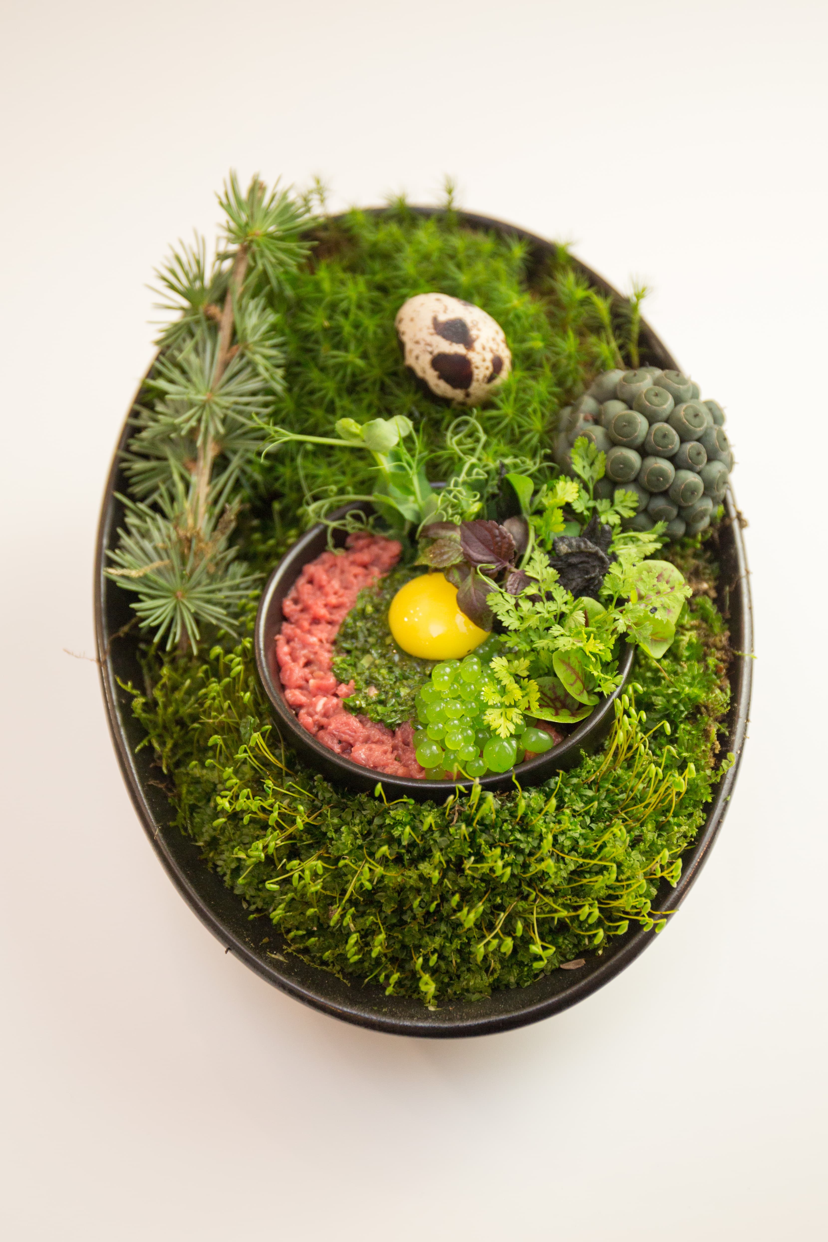 Otto Chrapčiak: Jarný tatarák